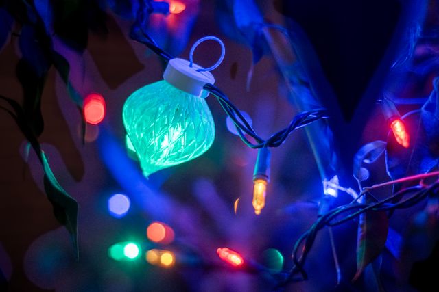 A small radish shaped ornament in a clear plastic, featuring a criss-cross lattice pattern. It is hung on a strand of string lights on a tree and from inside of it a green light is glowing.
